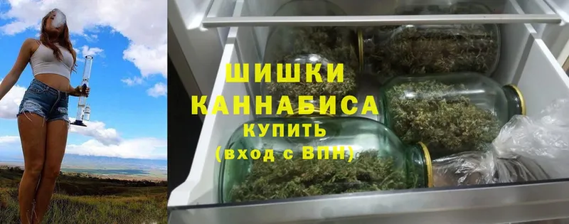 Каннабис OG Kush  Коммунар 